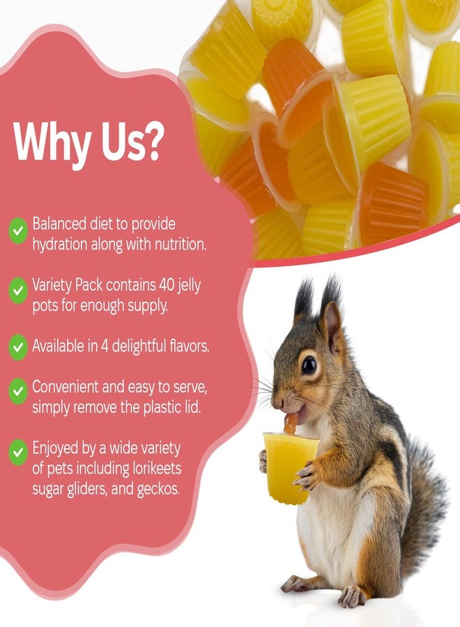 Snout and Shell Pet Jelly Pods Variety Pack - Nutritious Jelly Fruit Nectar Treats for Geckos, Sugar Gliders, Birds, Small Pets - Real Fruit Juice - 40 Cups - Image 5